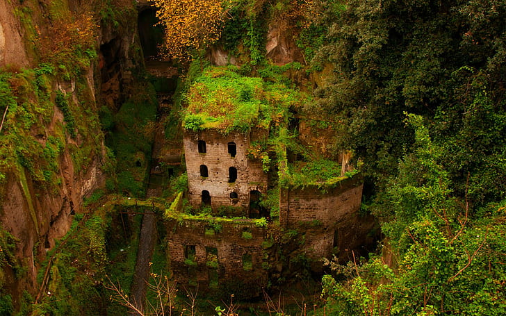 photography, abandoned, building, old building, ruin, overgrown, trees, monastery, Italy, valley, HD wallpaper