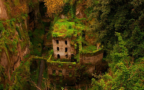 фотография, заброшенный, здание, старое здание, руины, заросли, деревья, монастырь, Италия, долина, HD обои HD wallpaper