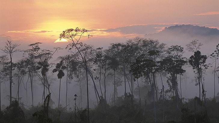 Morgendämmerung Peru Amazonas Flüsse 1920 x 1080 Natur Flüsse HD Kunst, Morgendämmerung, Peru, HD-Hintergrundbild