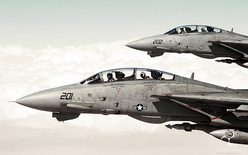 المقاتلات النفاثة ، Grumman F-14 Tomcat، خلفية HD HD wallpaper