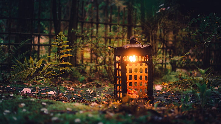 brown lantern lamp, photo of brown lamp surrounded by grass, nature, landscape, trees, forest, ferns, lantern, fence, lights, depth of field, leaves, macro, garden, natural light, outdoors, HD wallpaper