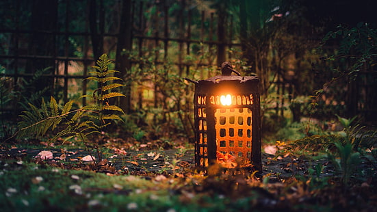 brown lantern lamp, photo of brown lamp surrounded by grass, nature, landscape, trees, forest, ferns, lantern, fence, lights, depth of field, leaves, macro, garden, natural light, outdoors, HD wallpaper HD wallpaper