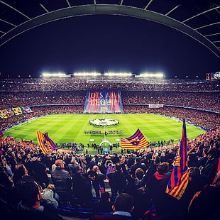 FC Barcelona, ​​clubes de futebol, futebol, Camp Nou, Liga dos Campeões, HD papel de parede HD wallpaper