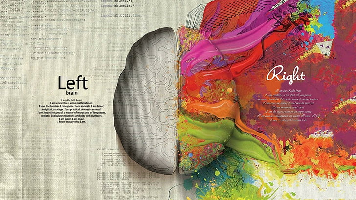 живот, мозък, мозък, интелигентност, артистичност, контрасти, творчество, структура, логика, израз, HD тапет