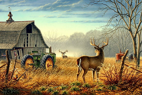 Competencia, niebla, tractor, ciervo, cerca, árboles, granero, pájaros, campo, granja, faisanes, dólares, veleta, anim, Fondo de pantalla HD HD wallpaper