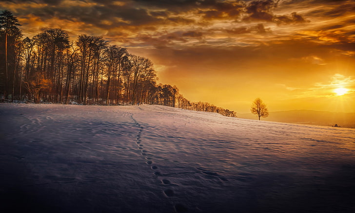 salju, jejak kaki, pemandangan, musim dingin, musim, pohon, langit, Wallpaper HD