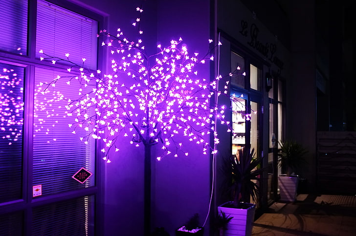 purple string lights, light, tree, neon, decor, HD wallpaper