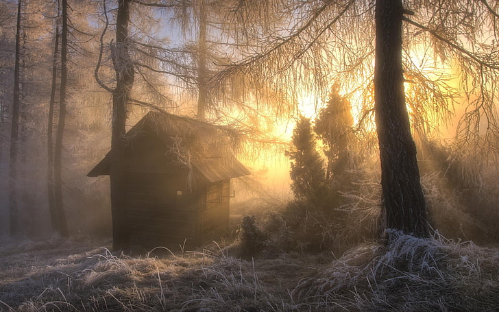Kabine umgeben von Bäumen Malerei, Natur, Landschaft, Frost, Wald, Hütte, Bäume, Winter, Schnee, HD-Hintergrundbild