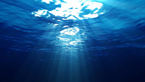 under the water photo during daytime, Windows, 4k, 5k wallpaper, 8k, ocean, underwater, deep, HD wallpaper HD wallpaper