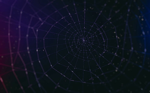 Spiderwebs, Dark, spiderwebs, dark, HD wallpaper HD wallpaper
