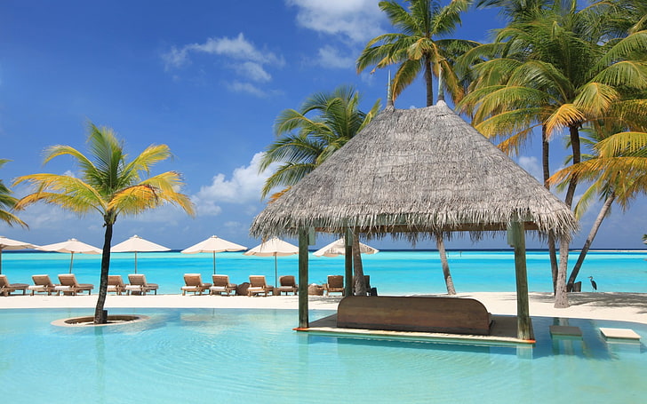 baldachim z dachem zębatym, plaża, palmy, morze, Tapety HD