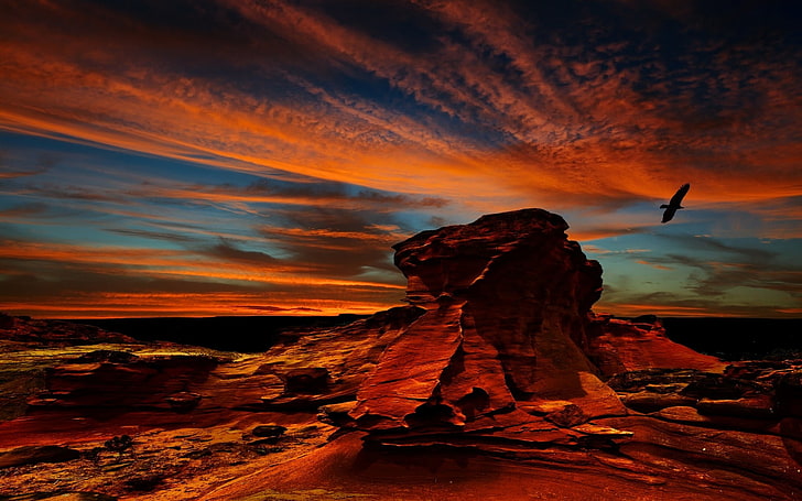 formation rocheuse, désert, désert d'Atacama, coucher de soleil, pierre, érosion, oiseaux, condors, battant, nuages, Chili, nature, coloré, paysage, Fond d'écran HD