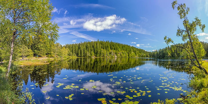 hutan, musim panas, pohon, danau, refleksi, Norwegia, Kabupaten Oslo, Danau Skjennungen, Wallpaper HD