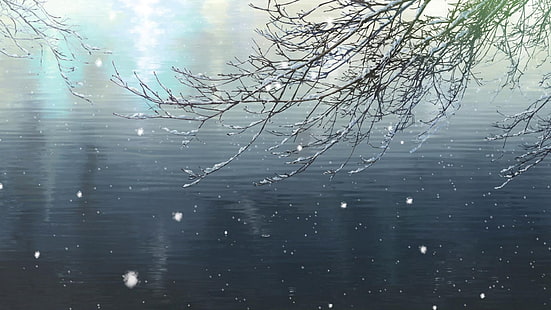 snow, water, branch, The Garden of Words, HD wallpaper HD wallpaper