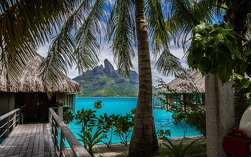 mare blu, natura, paesaggio, tropicale, isola, spiaggia, resort, palme, mare, Bora Bora, vacanza, estate, montagne, Sfondo HD HD wallpaper