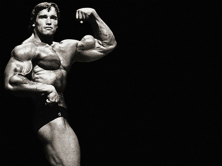 Arnold Schwarzenegger Männer, HD-Hintergrundbild