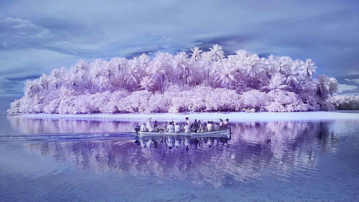biało-fioletowa wyspa, różowa, wyspa, Ocean Spokojny, palmy, łódka, plaża, Tapety HD