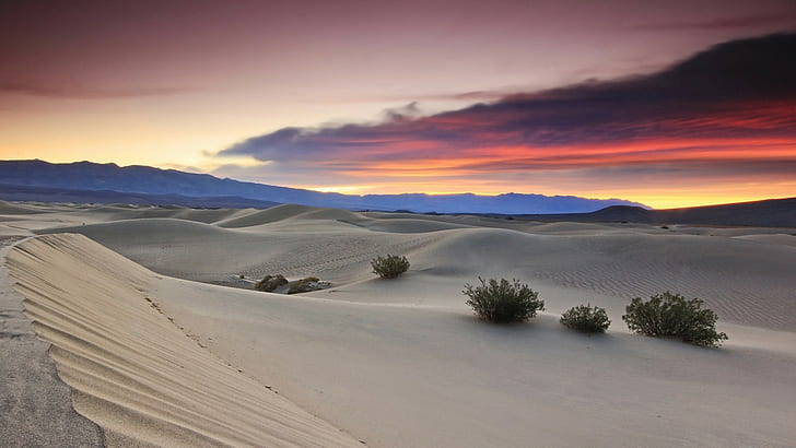 Desert Sunset HD, przyroda, zachód słońca, pustynia, Tapety HD