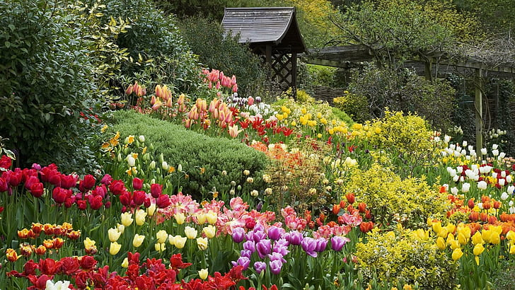 Jardín inglés, flores variadas, cabaña, tulipanes, colorido, flores, primavera, naturaleza y paisajes., Fondo de pantalla HD