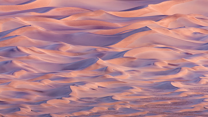 désert, dunes de sable, nature, paysage, Fond d'écran HD
