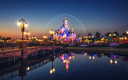 Shanghai Disney Castle night lighting fireworks, HD wallpaper HD wallpaper