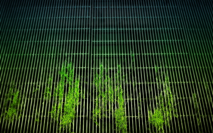tanaman berdaun hijau, kisi, rumput, tanaman, logam, hijau, Wallpaper HD