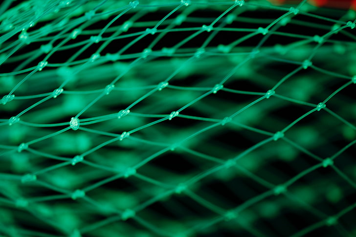 green fish net, grid, green, plexus, HD wallpaper