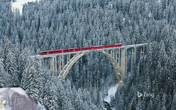 Поезд пересекает снежный лес-Бинг обои, HD обои