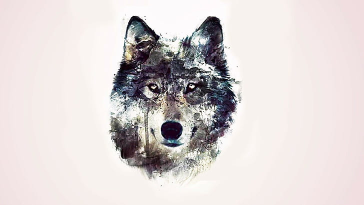 Serigala Menggambar Artistik, Wallpaper HD