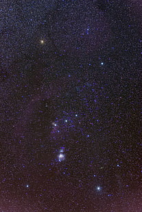 скопление звезд, орион, космос, созвездие, звёзды, HD обои HD wallpaper