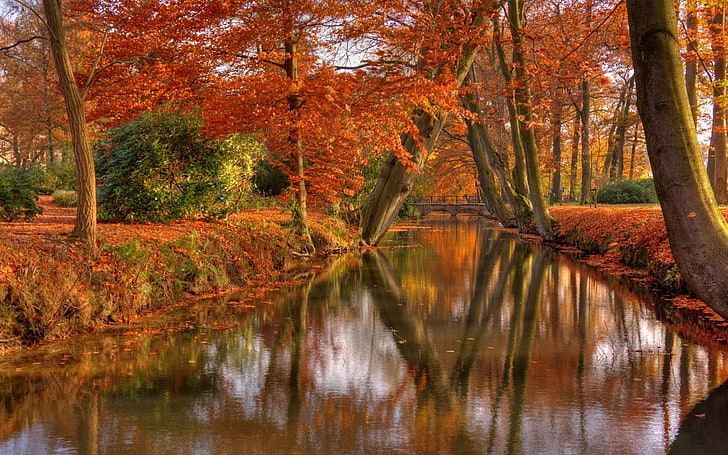 orange leafed-trees, nature, landscape, park, shrubs, trees, leaves, canal, reflection, bridge, fall, water, HD wallpaper