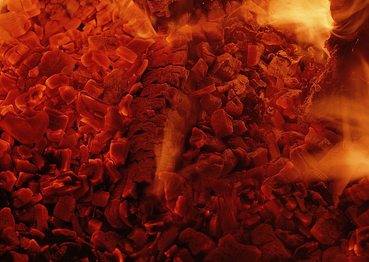 api, Wallpaper HD