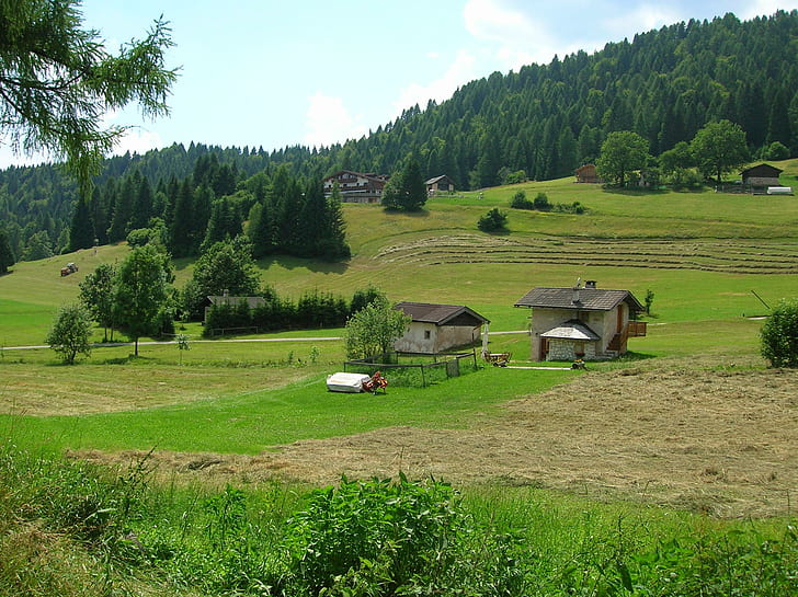 Baita Alpina, two white and black wooden houses, landscape, mountains, prati, paesaggio, baita, montagna, alpi, forests, boschi, alpine meadows, HD wallpaper