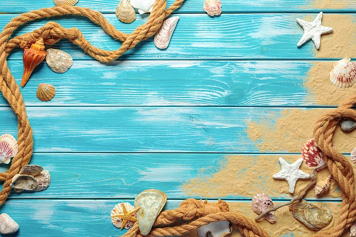 sand, beach, shell, wood, marine, still life, starfish, seashells, HD wallpaper