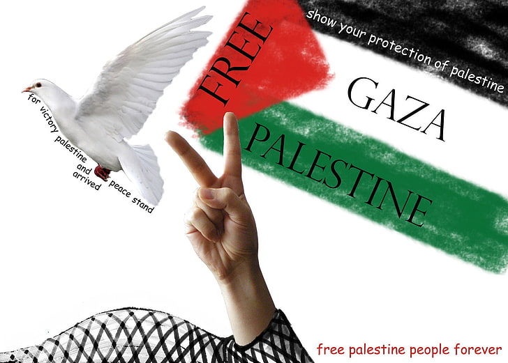 Palestina, flagga, duva, Gaza, händer, anhängare, propaganda, HD tapet