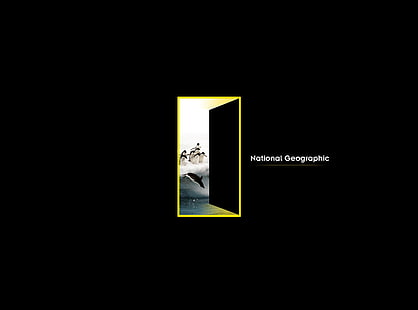 NATİONAL, logo National Geographic, Aero, czarne, National Geographic, Tapety HD HD wallpaper