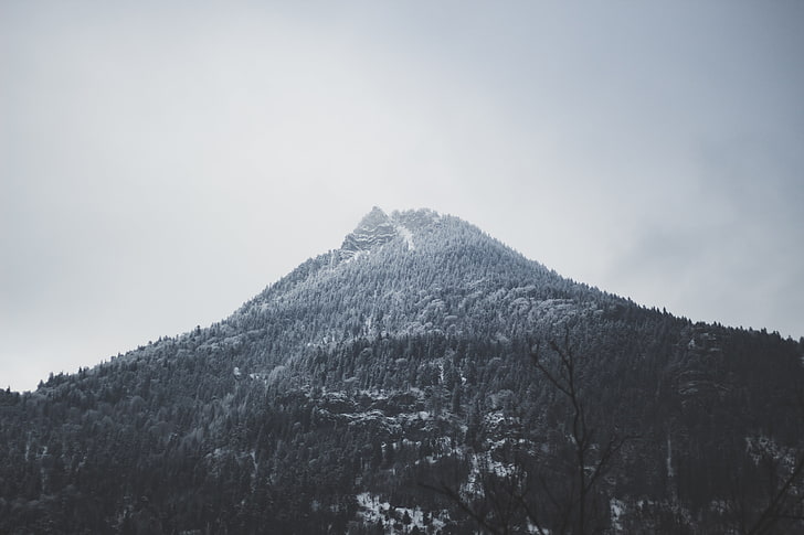 photo en niveaux de gris de montagne, Alpes, montagnes, neige, brume, forêt, nuages, paysage, monochrome, Fond d'écran HD