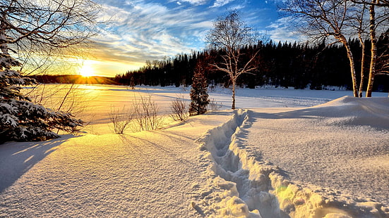 snow trail, winter, snow, sky, nature, landscape, frozen, tree, morning, frost, light, sunlight, lake, cloud, sunrise, sun, HD wallpaper HD wallpaper