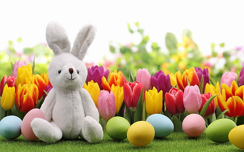 Joyeux Pâques, peluche lapin blanc, joyeux, Pâques, souhait, Fond d'écran HD HD wallpaper