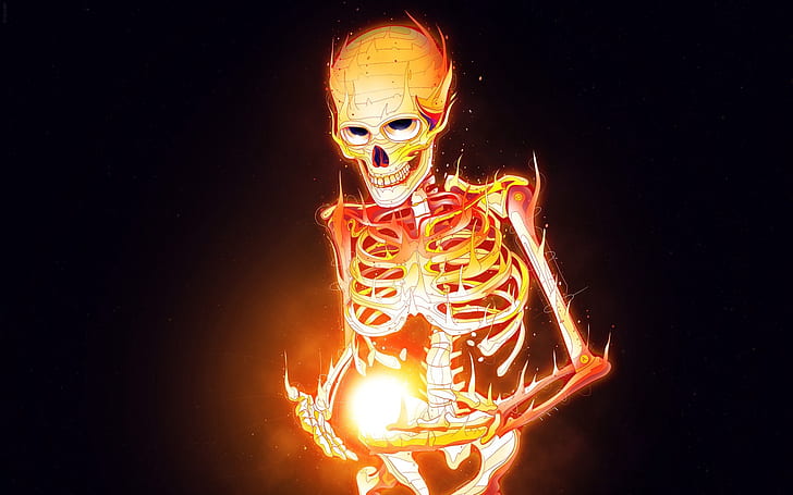 skeleton, bones, fire, art, HD wallpaper