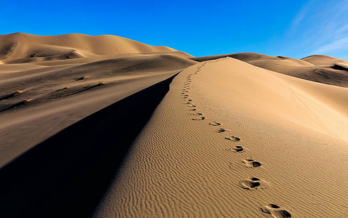 Earth, Desert, Dune, Footprint, Nature, Sand, HD wallpaper HD wallpaper