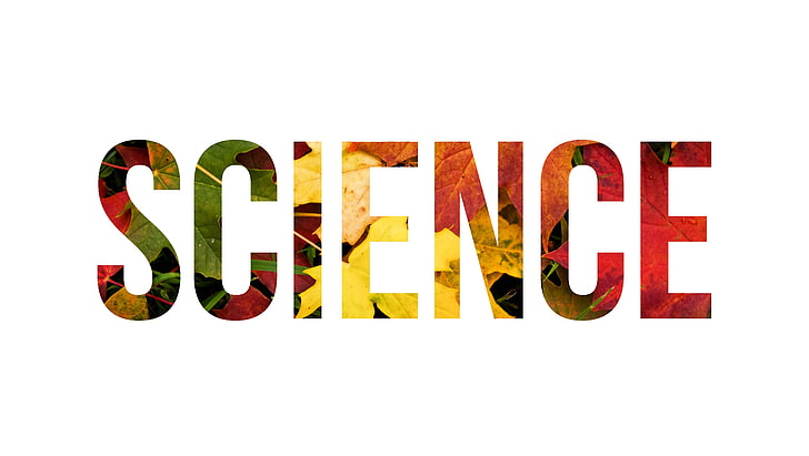 caligrafía roja y amarilla de la ciencia, ciencia, naturaleza, hojas, plantas, tipografía, Fondo de pantalla HD