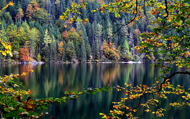 Гора, дървета, река, есен, листа, гора, дървета, река, есен, листа, HD тапет