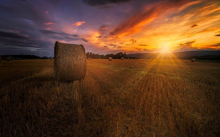 Summer, sunset, field, hay, dusk, red sky, Summer, Sunset, Field, Hay, Dusk, Red, Sky, HD wallpaper