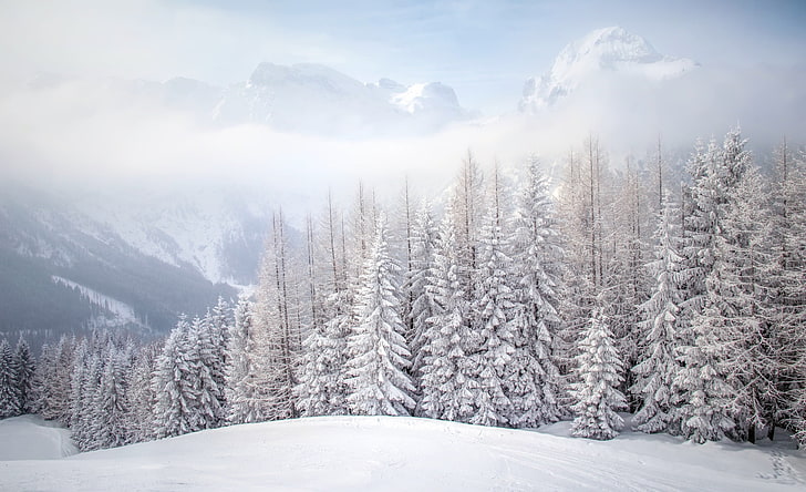 природа, зима, снег, деревья, пейзаж, HD обои
