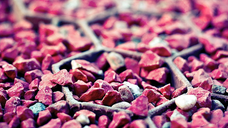 batu merah muda, foto tilt-shift kerikil merah dan putih, makro, batu, batu, merah, Wallpaper HD