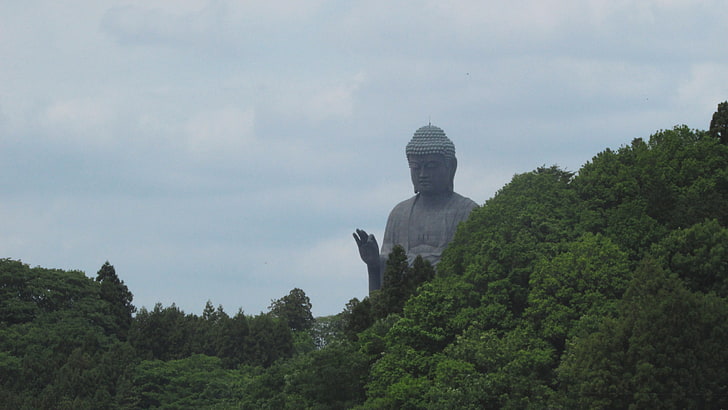 Buddha statue, Buddhism, Buddha, statue, forest, trees, green, HD wallpaper