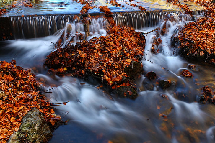 brown leaves on river photography, hearth, brown, river, photography, autumn  leaves, water, Faves, waterfall, nature, stream, forest, autumn, falling, scenics, flowing Water, leaf, tree, beauty In Nature, rock - Object, outdoors, landscape, freshness, flowing, rapid, wet, HD wallpaper