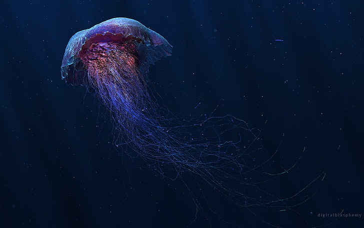 розовые и голубые медузы, цифровое искусство, медузы, подводные, рыбы, животные, HD обои