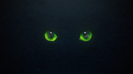 black, green eyes, cat, shiny, cover art, reflection, minimalism, graphic design, stone, cat eyes, HD wallpaper HD wallpaper